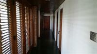 Tranquility Estate Bed And Breakfast Кингстон Экстерьер фото